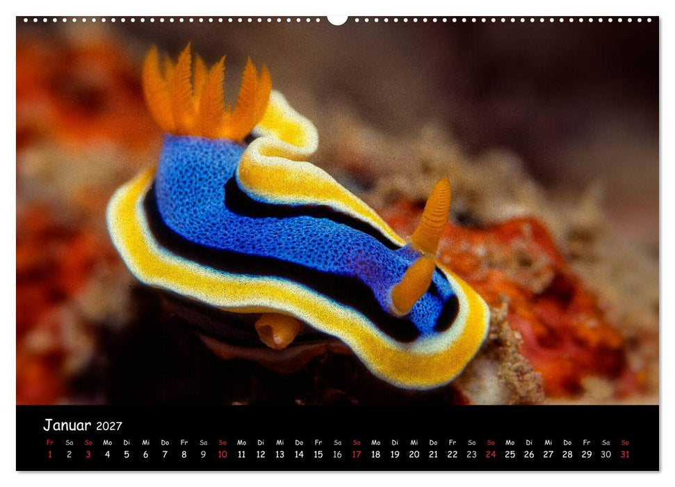 Die Welt unter Wasser (CALVENDO Wandkalender 2027)