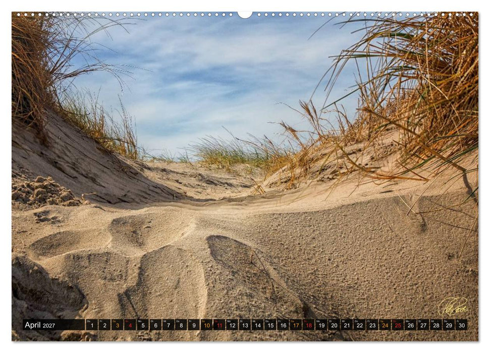 Nordsee-Dünen (CALVENDO Premium Wandkalender 2027)
