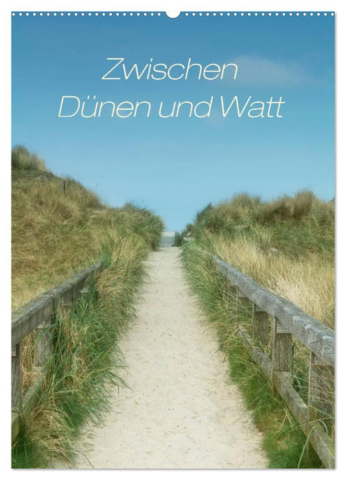 Zwischen Dünen und Watt / Geburtstagskalender (CALVENDO Wandkalender 2027)