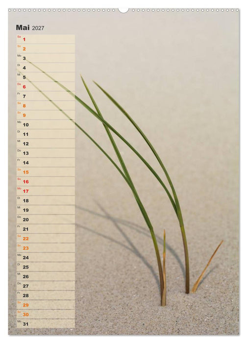 Zwischen Dünen und Watt / Geburtstagskalender (CALVENDO Wandkalender 2027)