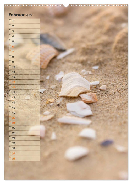 Zwischen Dünen und Watt / Geburtstagskalender (CALVENDO Premium Wandkalender 2027)