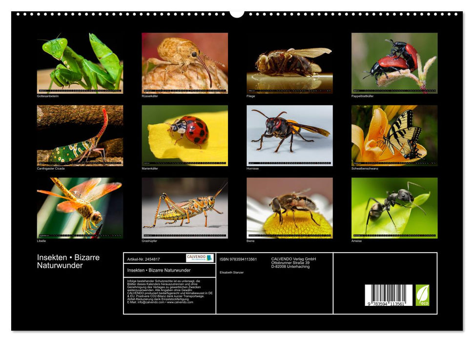 Insekten • Bizarre Naturwunder (CALVENDO Premium Wandkalender 2027)