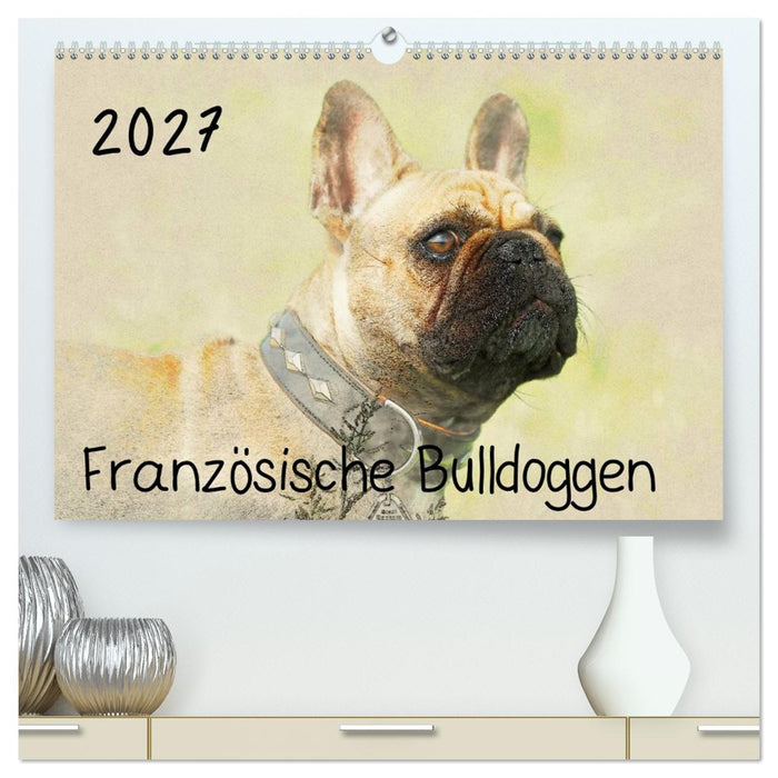 Französische Bulldoggen 2027 (CALVENDO Premium Wandkalender 2027)