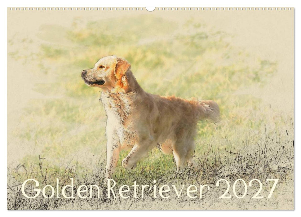 Golden Retriever 2027 (CALVENDO Wandkalender 2027)