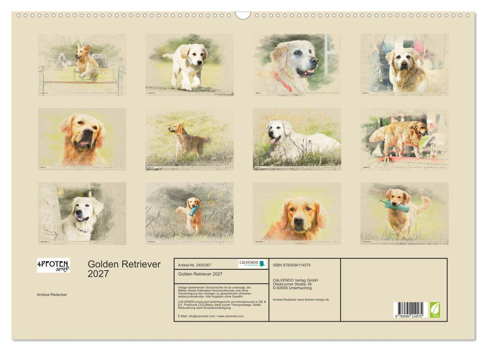 Golden Retriever 2027 (CALVENDO Wandkalender 2027)