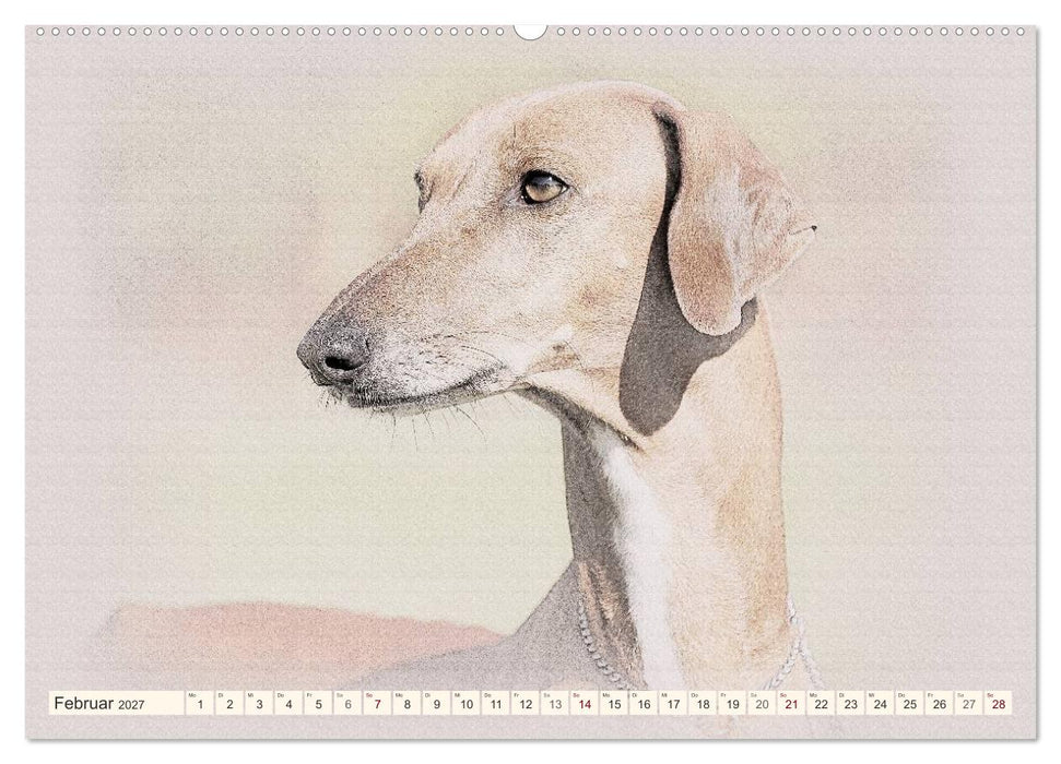 Windhunde 2027 (CALVENDO Premium Wandkalender 2027)