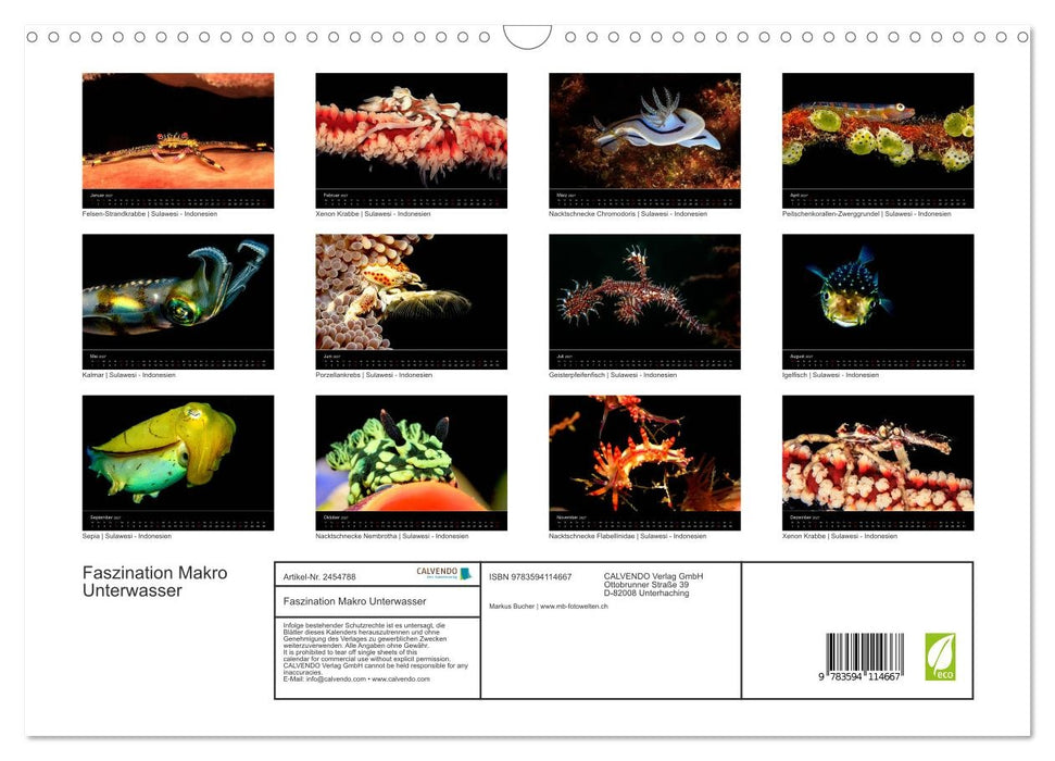 Faszination Makro Unterwasser (CALVENDO Wandkalender 2027)
