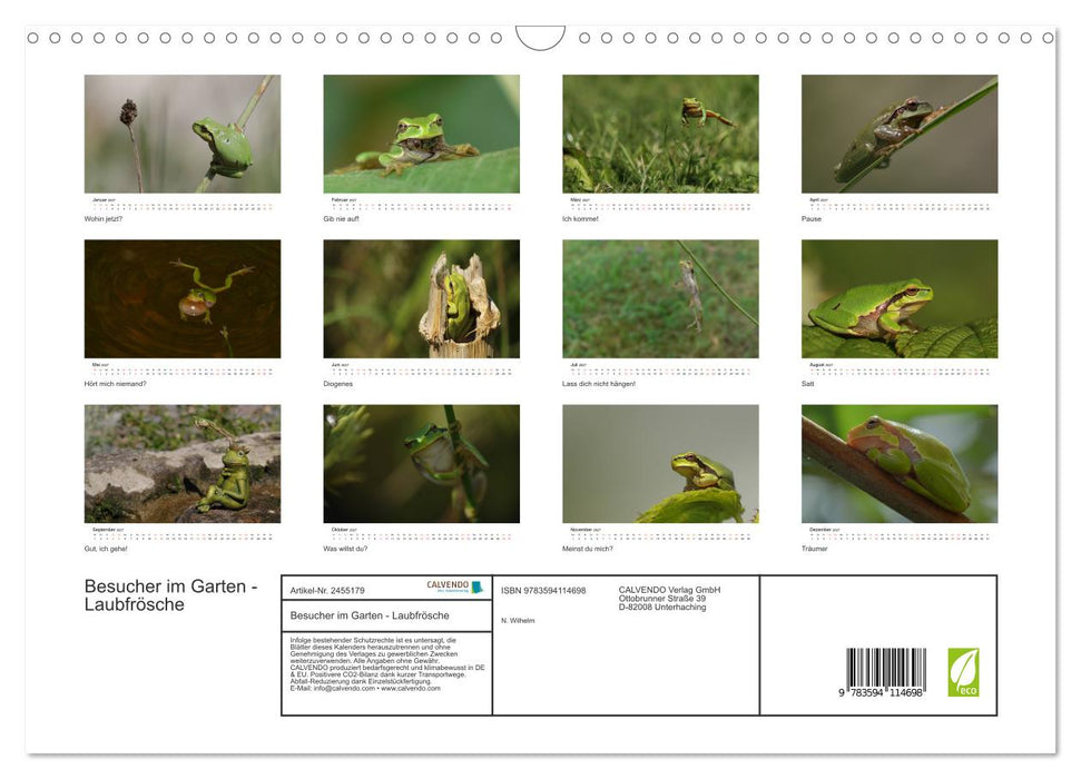 Besucher im Garten - Laubfrösche (CALVENDO Wandkalender 2027)