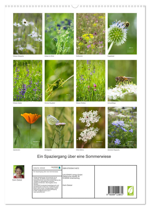 Ein Spaziergang über eine Sommerwiese (CALVENDO Premium Wandkalender 2027)