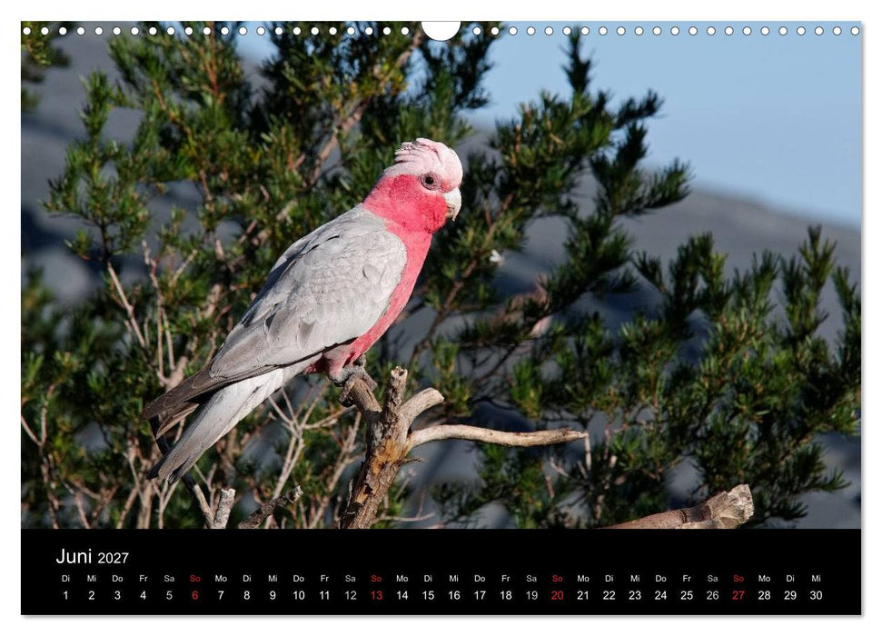 Wildes Australien - Naturparadies 5. Kontinent (CALVENDO Wandkalender 2027)
