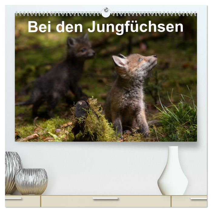 Bei den Jungfüchsen (CALVENDO Premium Wandkalender 2027)