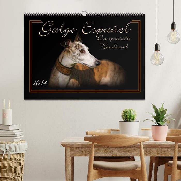 Galgo Español 2027- Der spanische Windhund (CALVENDO Wandkalender 2027)