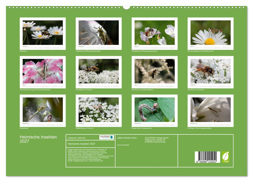 Heimische Insekten 2027 (CALVENDO Premium Wandkalender 2027)
