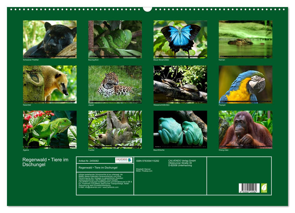 Regenwald • Tiere im Dschungel (CALVENDO Wandkalender 2027)