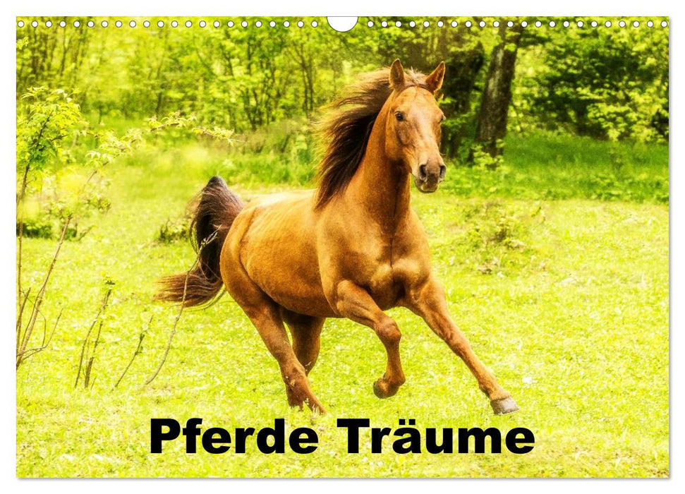 Pferde Träume (CALVENDO Wandkalender 2027)