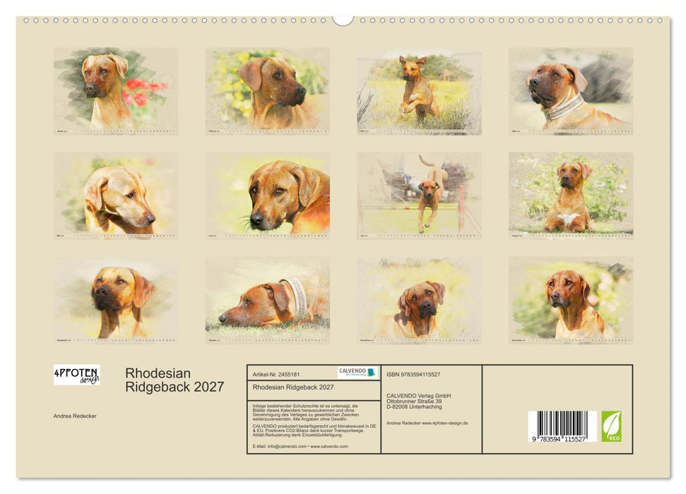 Rhodesian Ridgeback 2027 (CALVENDO Premium Wandkalender 2027)