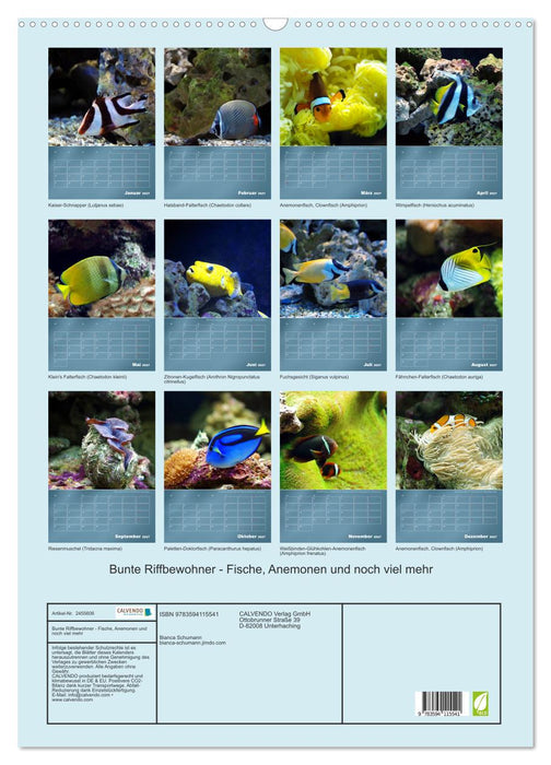 Bunte Riffbewohner - Fische, Anemonen und noch viel mehr (CALVENDO Wandkalender 2027)