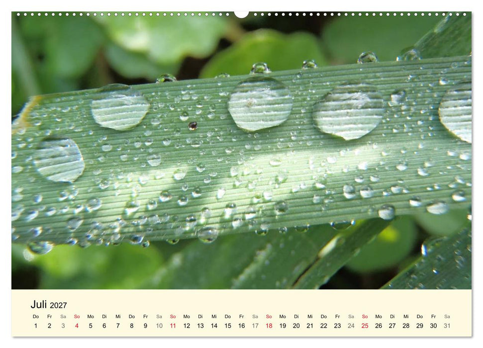 Kraftquelle Grün (CALVENDO Premium Wandkalender 2027)