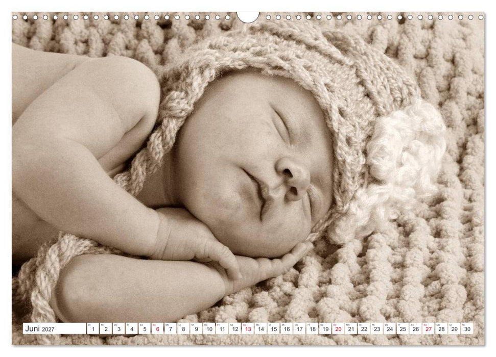 Babys - Willkommen im Leben (CALVENDO Wandkalender 2027)