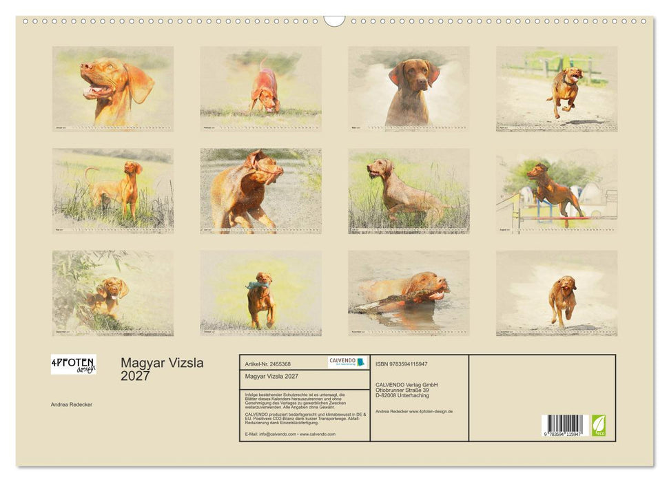 Magyar Vizsla 2027 (CALVENDO Wandkalender 2027)