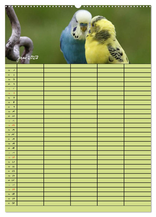 Der Wellensittich-Familienplaner (CALVENDO Premium Wandkalender 2027)