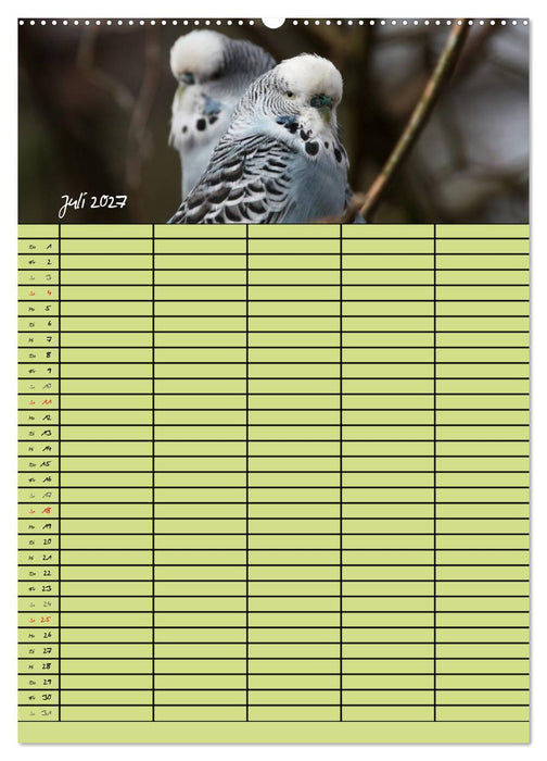 Der Wellensittich-Familienplaner (CALVENDO Premium Wandkalender 2027)