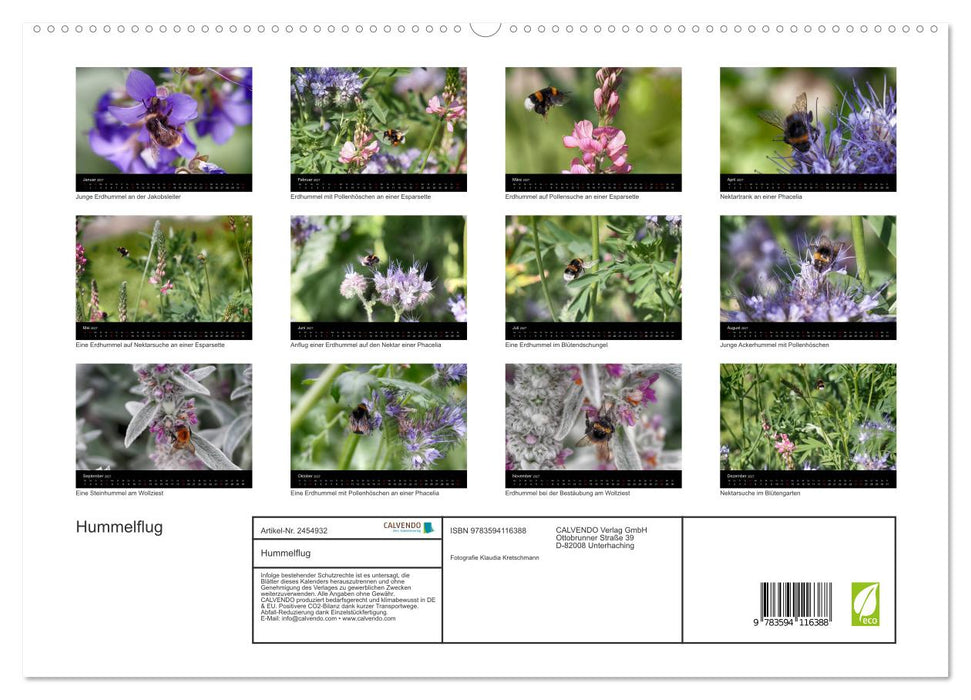 Hummelflug (CALVENDO Premium Wandkalender 2027)