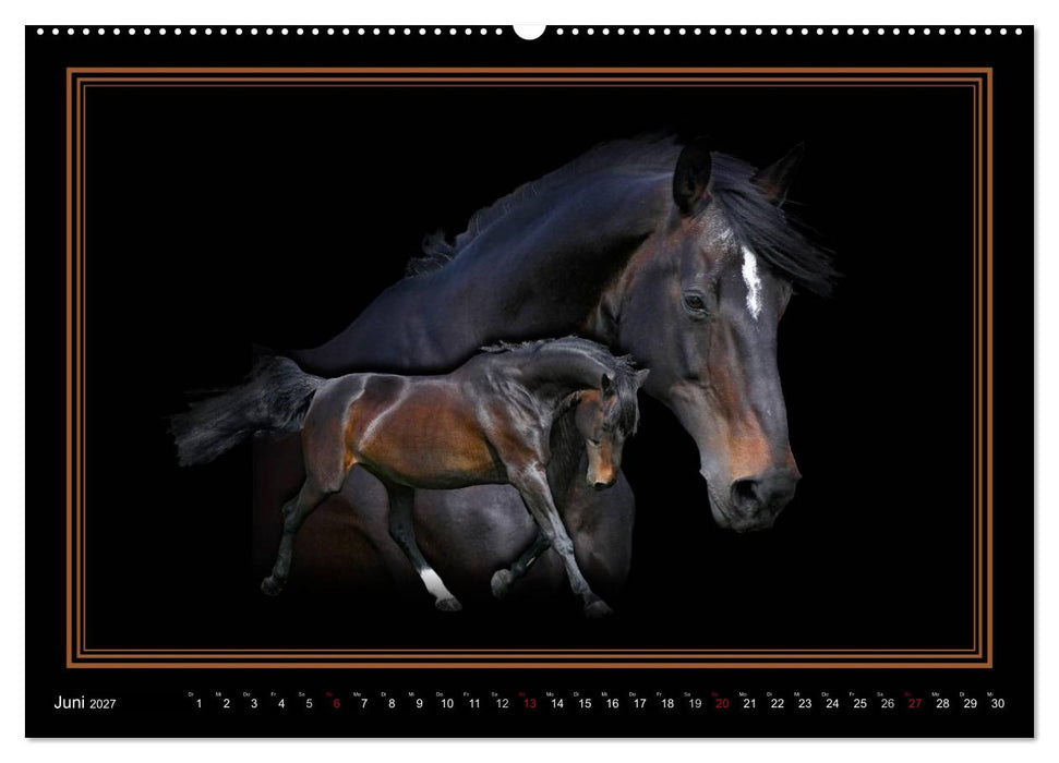 Traumpferde-ART-Collection (CALVENDO Wandkalender 2027)