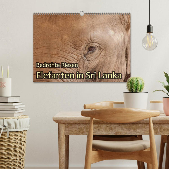 Bedrohte Riesen - Elefanten in Sri Lanka (CALVENDO Wandkalender 2027)