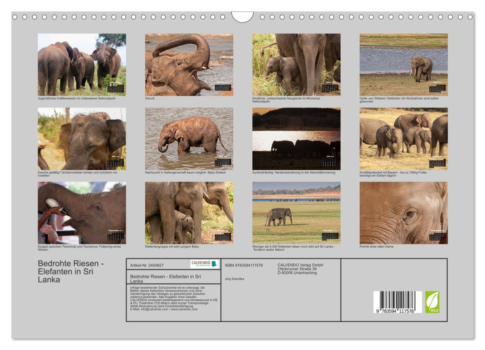 Bedrohte Riesen - Elefanten in Sri Lanka (CALVENDO Wandkalender 2027)