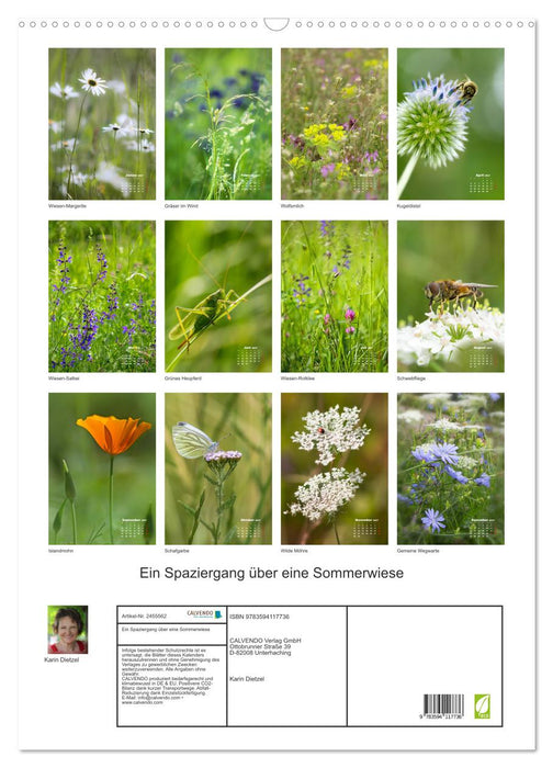 Ein Spaziergang über eine Sommerwiese (CALVENDO Wandkalender 2027)