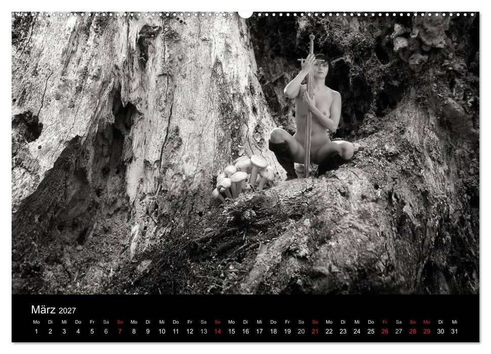 Zauberhafte Hexenwesen (CALVENDO Wandkalender 2027)