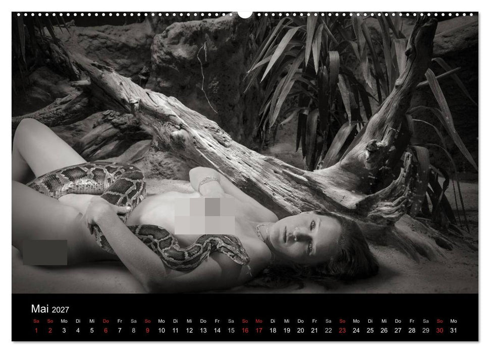 Zauberhafte Hexenwesen (CALVENDO Wandkalender 2027)