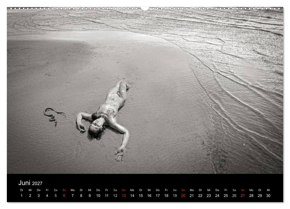 Zauberhafte Hexenwesen (CALVENDO Wandkalender 2027)