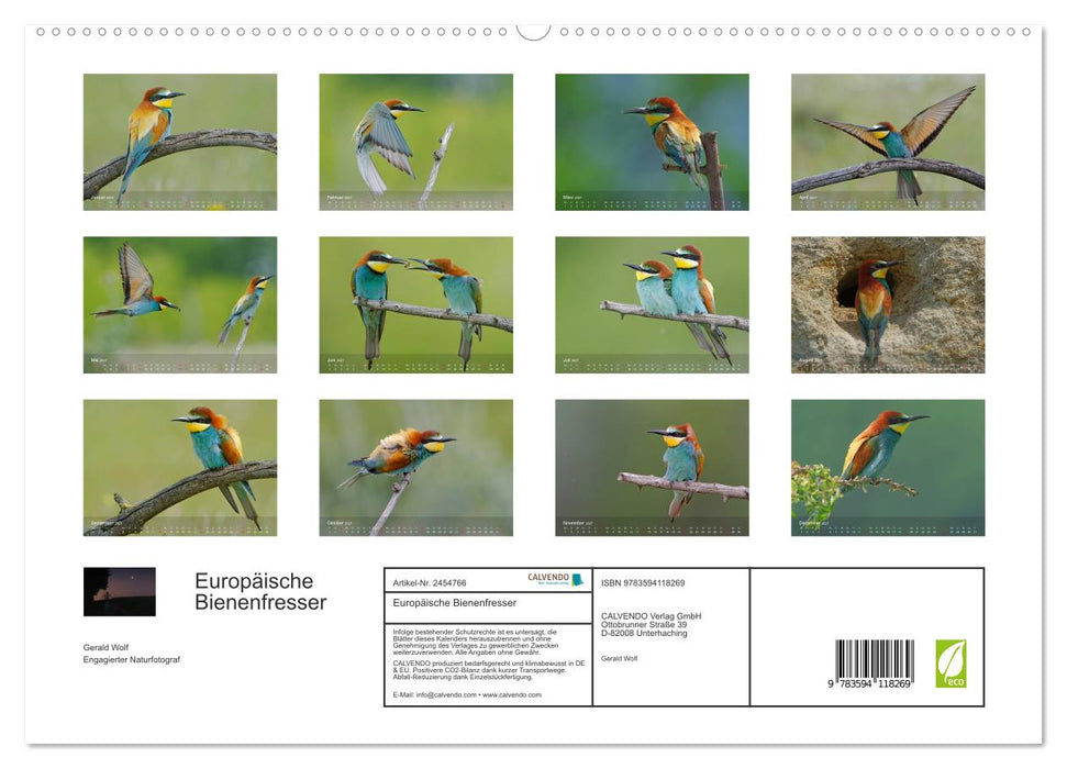 Europäische Bienenfresser (CALVENDO Premium Wandkalender 2027)