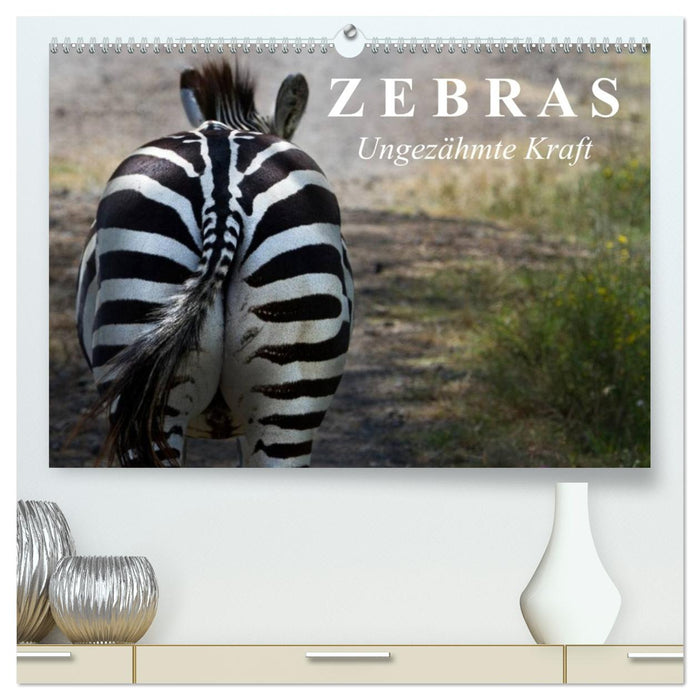 Zebras - Ungezähmte Kraft (CALVENDO Premium Wandkalender 2027)