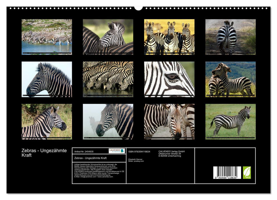 Zebras - Ungezähmte Kraft (CALVENDO Premium Wandkalender 2027)