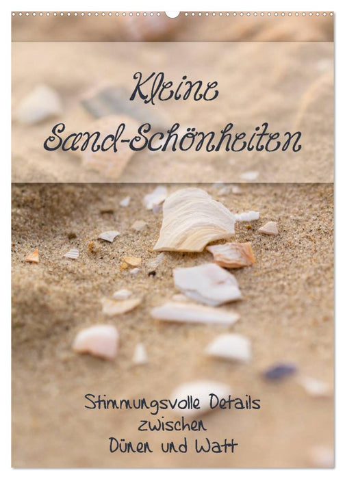 Kleine Sand-Schönheiten / Familienplaner (CALVENDO Wandkalender 2027)