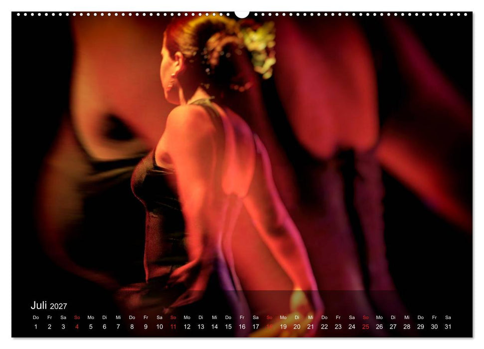 Flamenco - Tanz der Leidenschaft (CALVENDO Premium Wandkalender 2027)