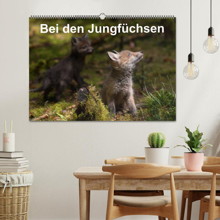 Bei den Jungfüchsen (CALVENDO Wandkalender 2027)