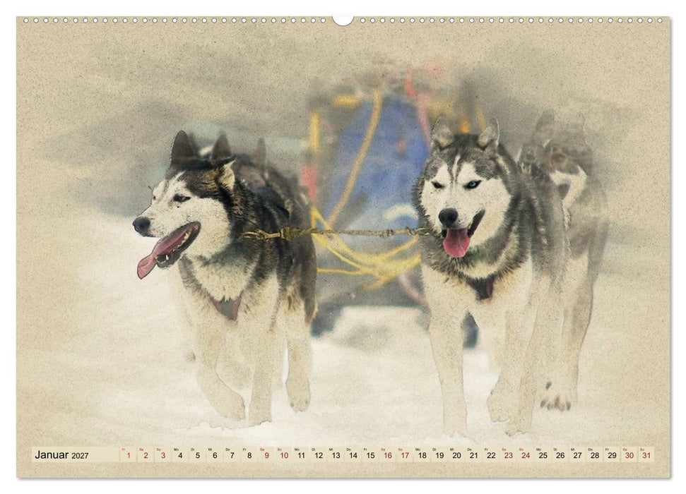 Schlittenhunde 2027 (CALVENDO Wandkalender 2027)