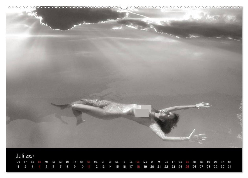 Zauberhafte Hexenwesen (CALVENDO Premium Wandkalender 2027)