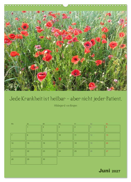 Erkenntnis und Weisheit - Hildegard von Bingen (CALVENDO Wandkalender 2027)