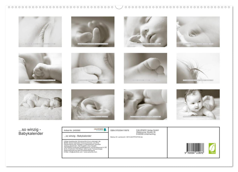 ...so winzig - Babykalender (CALVENDO Premium Wandkalender 2027)