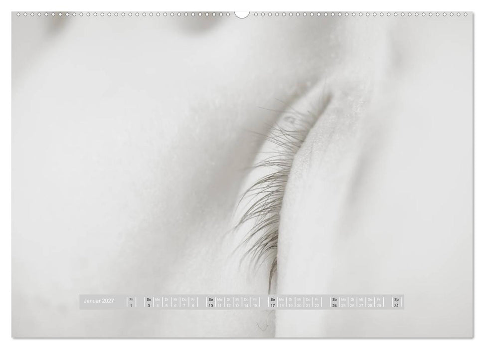 ...so winzig - Babykalender (CALVENDO Premium Wandkalender 2027)