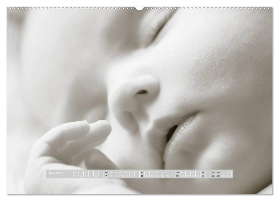 ...so winzig - Babykalender (CALVENDO Premium Wandkalender 2027)