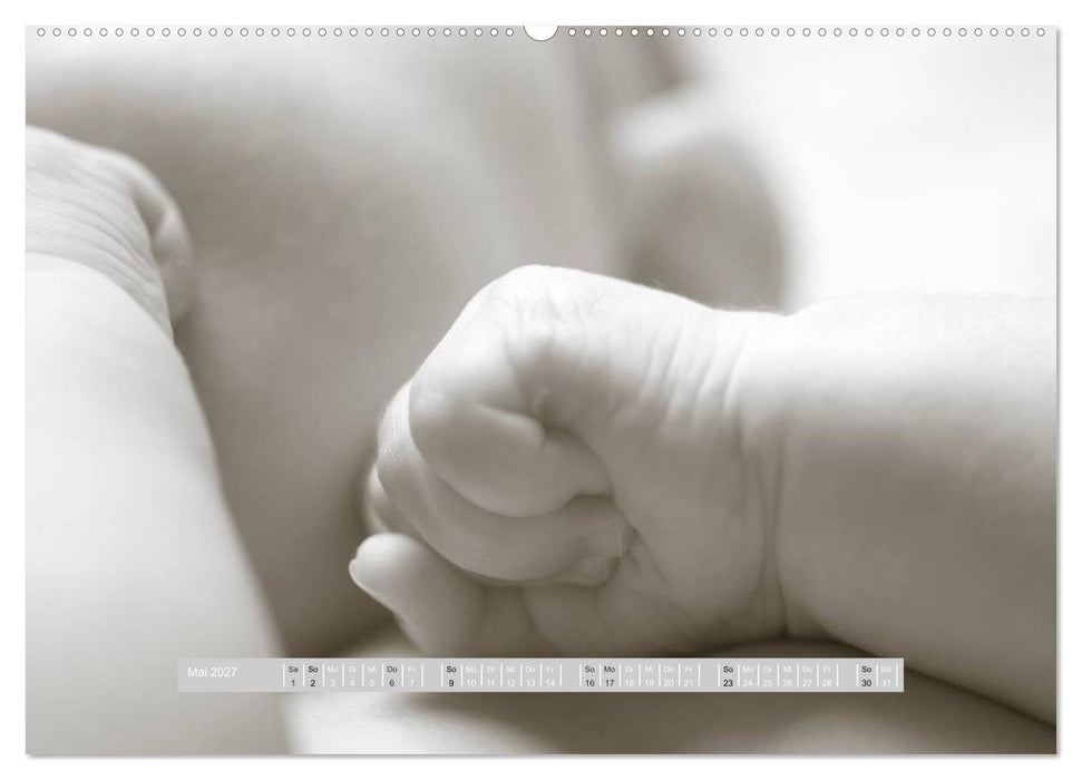 ...so winzig - Babykalender (CALVENDO Premium Wandkalender 2027)