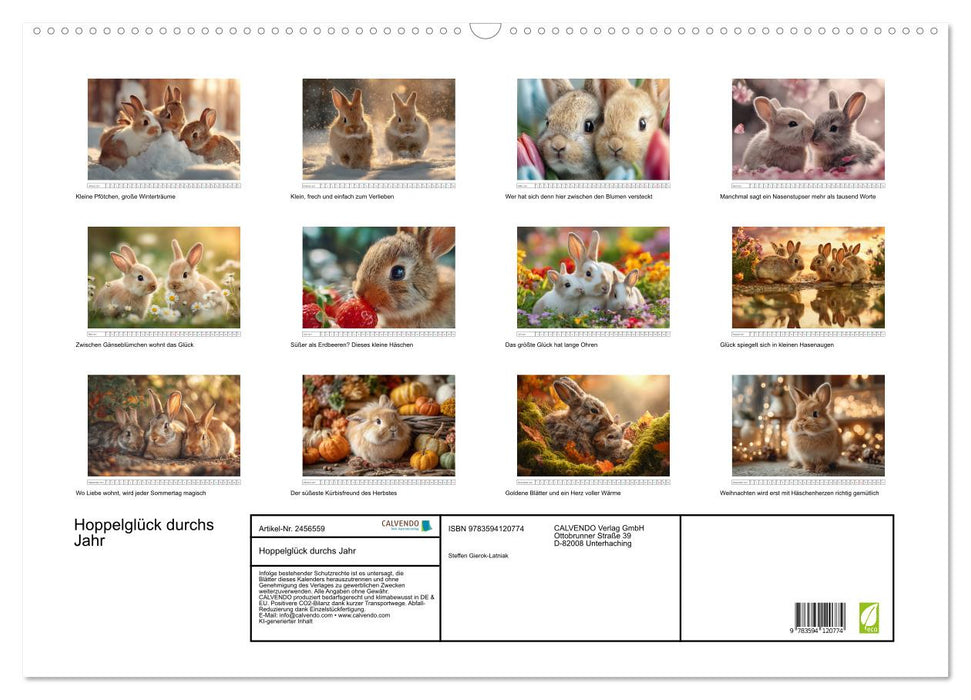 Hoppelglück durchs Jahr (CALVENDO Wandkalender 2027)