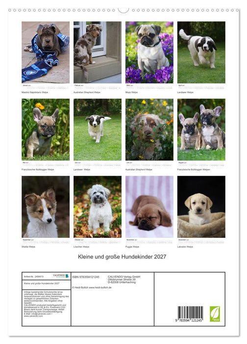 Kleine und große Hundekinder 2027 (CALVENDO Premium Wandkalender 2027)
