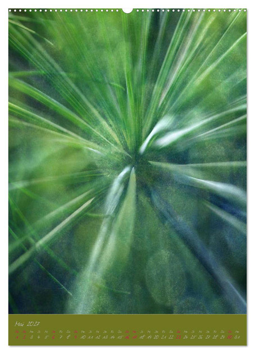 Natur Träume (CALVENDO Premium Wandkalender 2027)